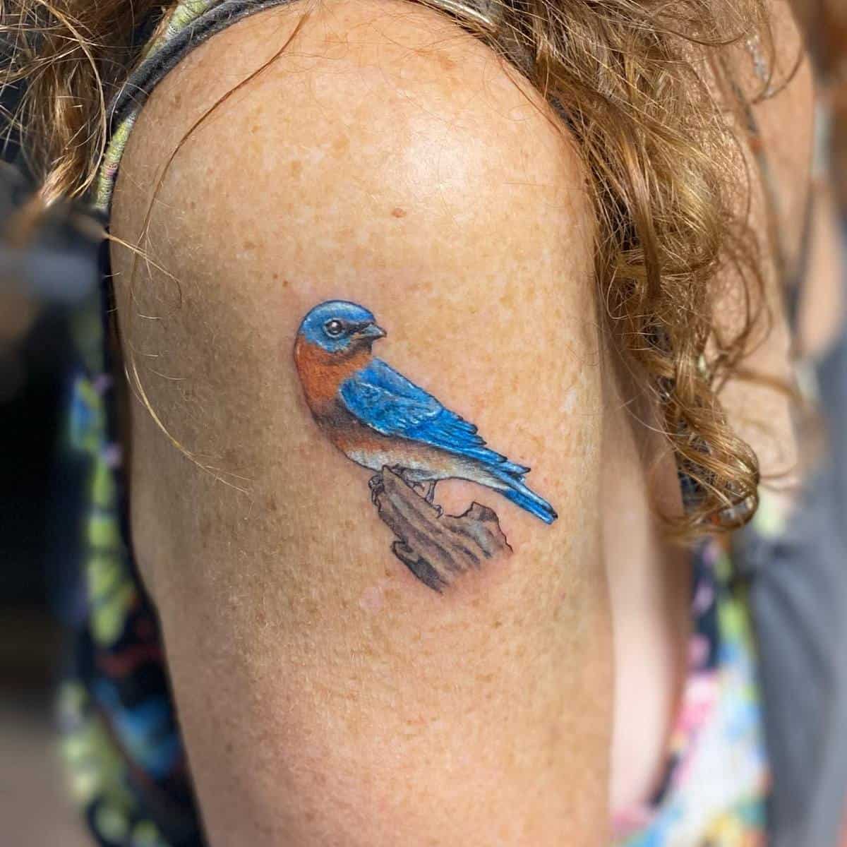 Bluebird Shoulder Tattoo boscolaynetattoo