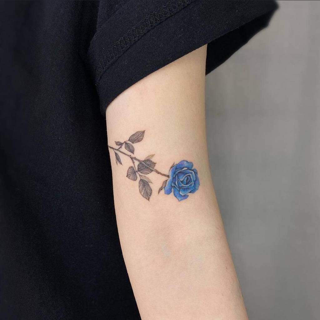 rosa-azul-color-ilustracion-hermana-tatuaje-palomitas__estudio