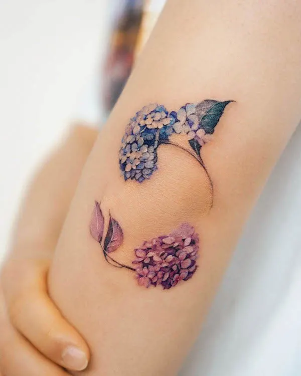 Hydrangea around the elbow by @abii_tattoo