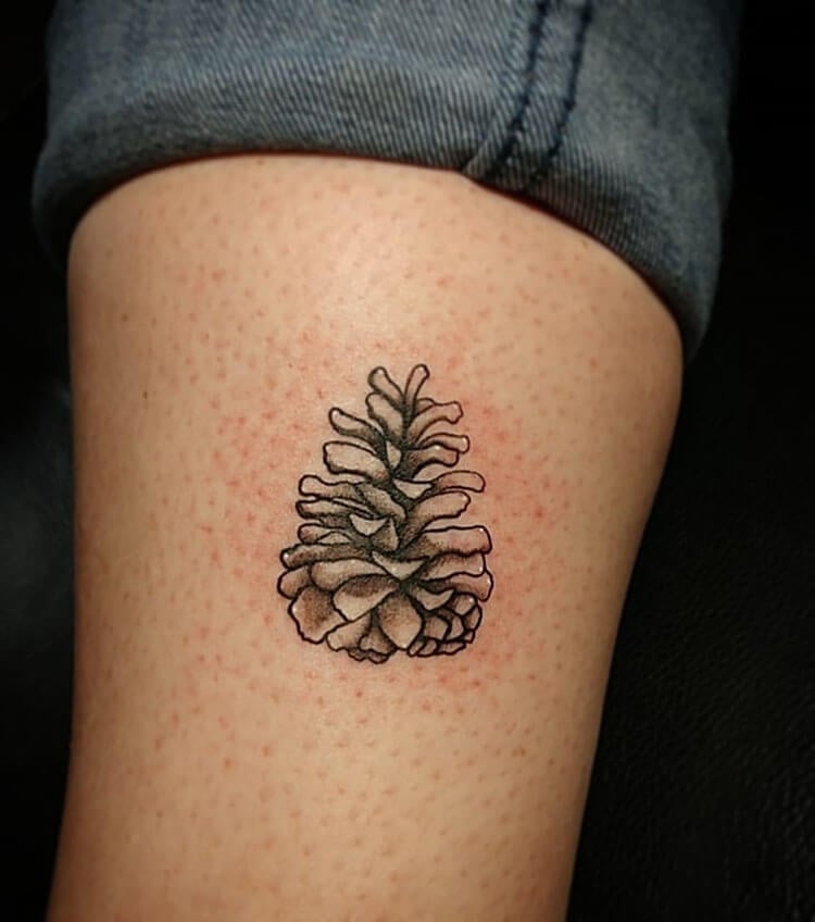 brown pinecone tattoo