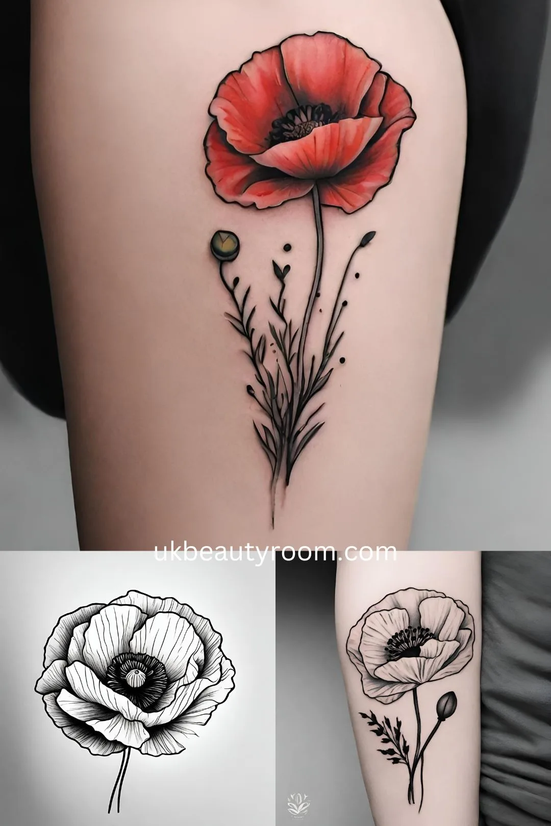 Poppy Flowers