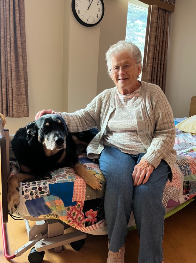 the dog lies on the bed while the grandmother caresses it