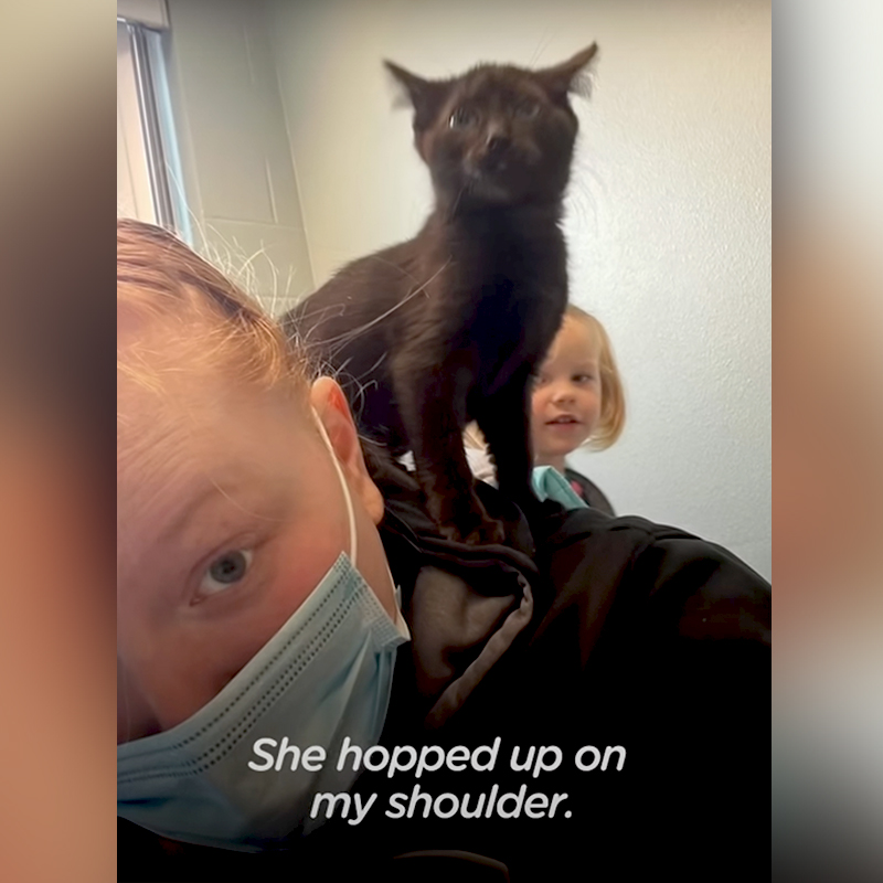 Kallie jumps on Kelly's shoulder at the shelter in Pierce County