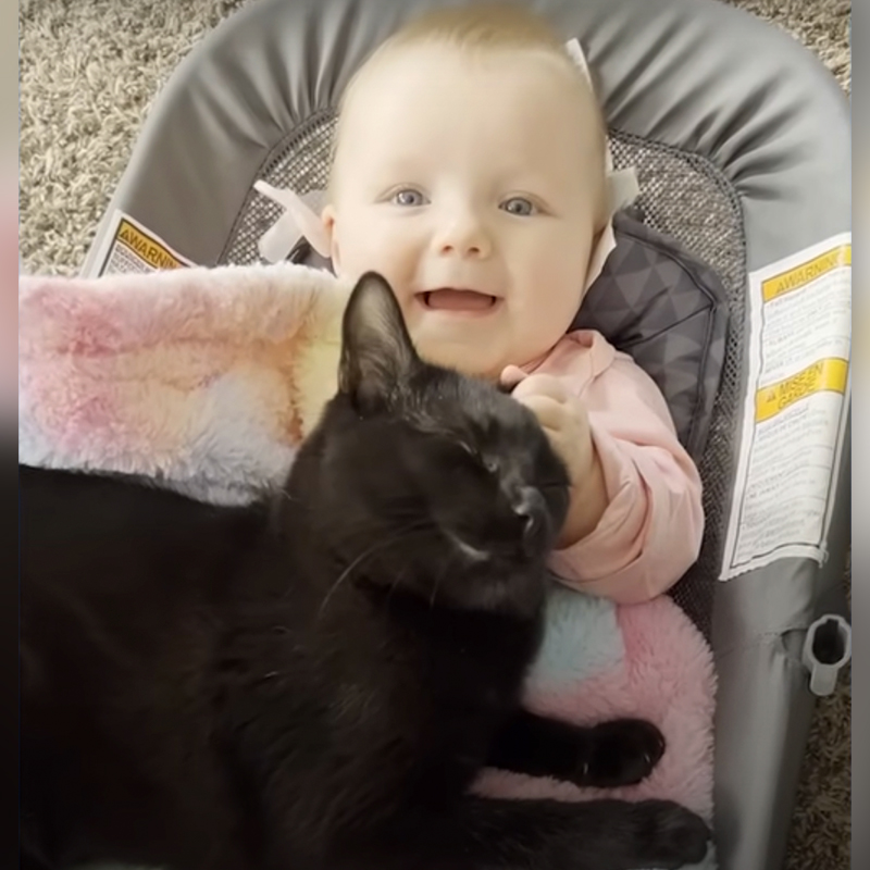 Kelly De Alba, Luna and Kallie, Shelter cat meets baby at shelter, Pierce County Animal Shelter, Washington, Oregon, black kitten bonds with human baby, Black cat loves baby, Black cat in baby nursery, 3