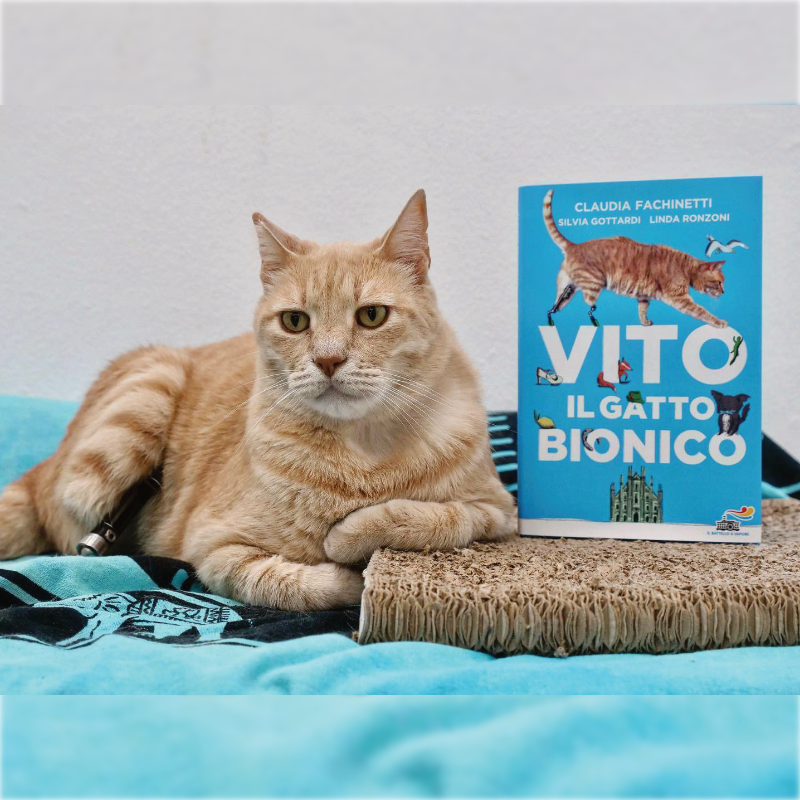 Vito, Vituzzo, Il Gatto Bionico