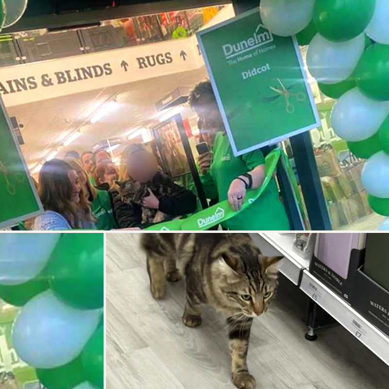 Boots at the ribbon cutting ceremony via the BBC, Images of Willow at the Dunelm Opening via BBC/Jane Waring