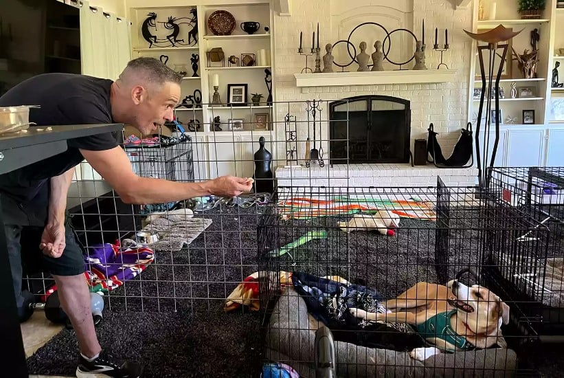 man showing dog a treat