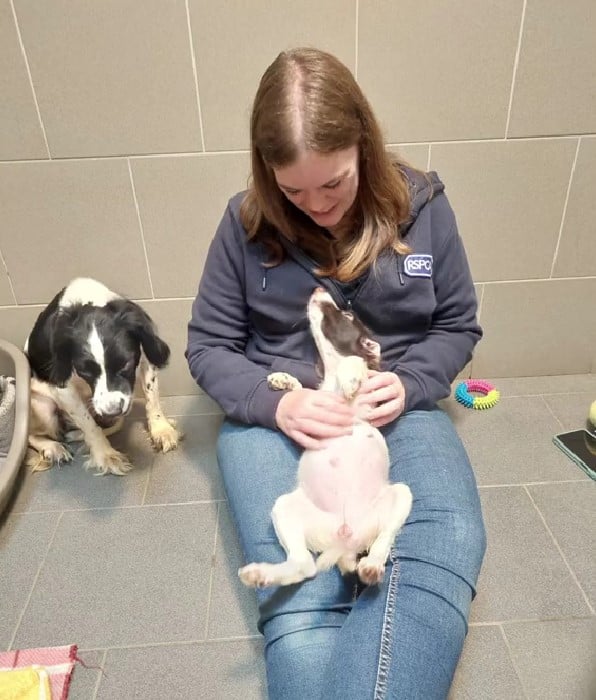 woman holding a dog in her lap