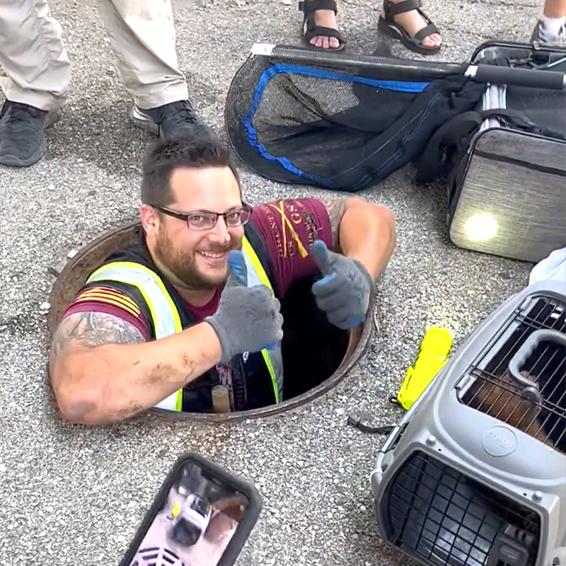 PAWS Chicago, Puddle the orange kitten saved from a sewer, sewer grate, ginger kitten, April Garza, Catherine Boryczka, Chicago Water Management, kitten rescue, Giving Day, community rescue, Ashland, Orange Line, 6