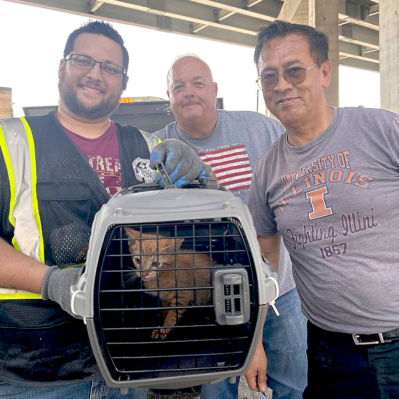 PAWS Chicago, Puddle the orange kitten saved from a sewer, sewer grate, ginger kitten, April Garza, Catherine Boryczka, Chicago Water Management, kitten rescue, Giving Day, community rescue, Ashland, Orange Line, 1