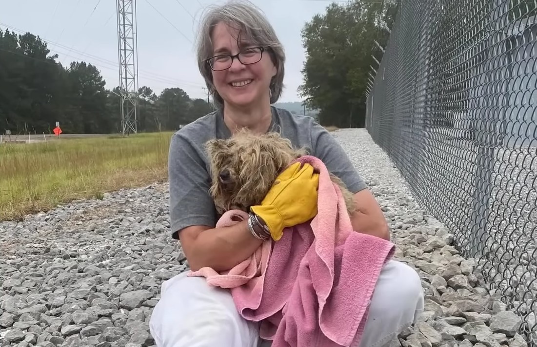 woman holding the dog in towel