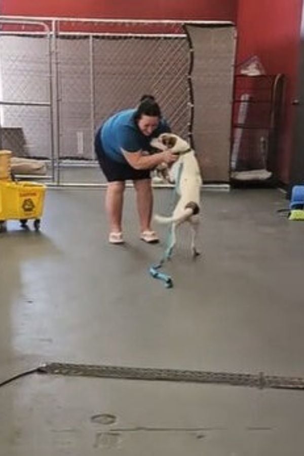 woman hugging a dog